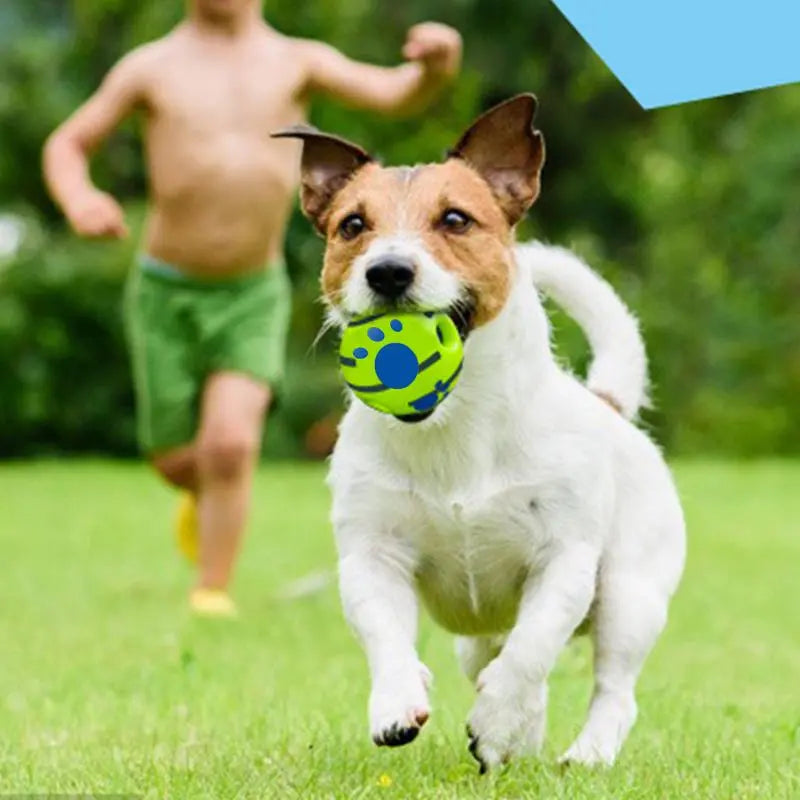 Gift for Pets, Durable Interactive Dog Toys Ball, Summer Gift, Squeaky Wag Ball for Pet Training, Indoor & Outdoor Dog Gifts, Dog Toy Supplies, Valentine'S Day Gift